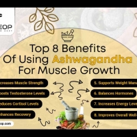 Top 8 Benefits Of Using Ashwagandha For Muscle Growth