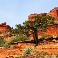 Long Canyon, Sedona, Arizona