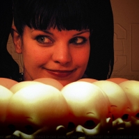 Pauley Perrette Creepy Dolls