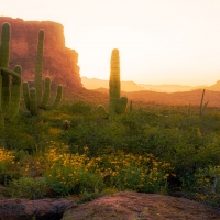 Superstition Mountains. Arizona