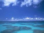 Beach & Water of Hawaii