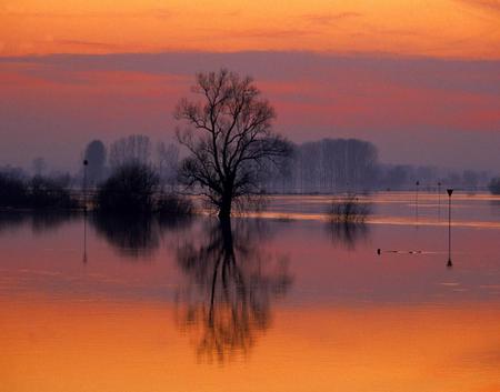 Sunrise Violet Lake