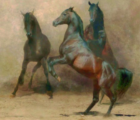 Free Spirit - horses landscapes, animals, beautiful