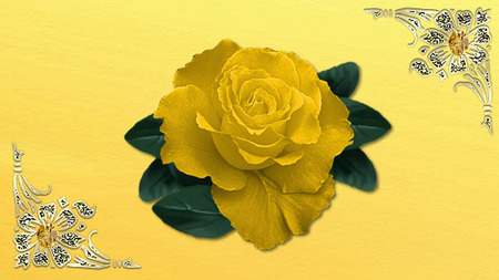 Yellow Rose of Love - nature, yellow, roses, flowers, rose, flower