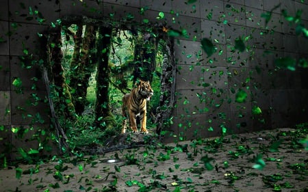 tiger - house, forest, animal, tiger