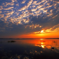 poleski national park