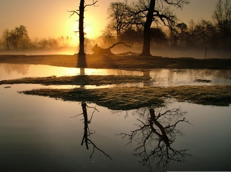 Sunrise in the Fog - calm, reflections, rivers, amazing, creek, foggy, earth, sunrise, fabulous, nice, sky, sun, trees, water, fog, beautiful, reflected, gold, cool, orange, islands, wonderful, nature, tranquility, sunset, awesome, lakes