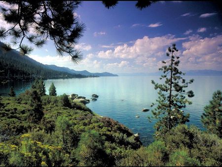 lake - lake, trees, view