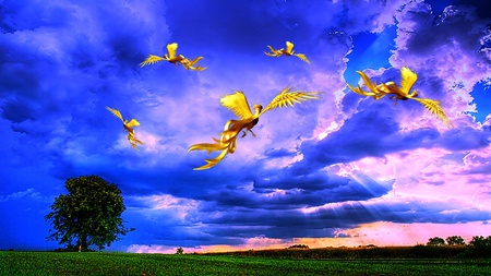 World Of Golden Phoenix - beauty, sky, phoenix, lovely, amazing, clouds, blue, green, tree, grass, birds