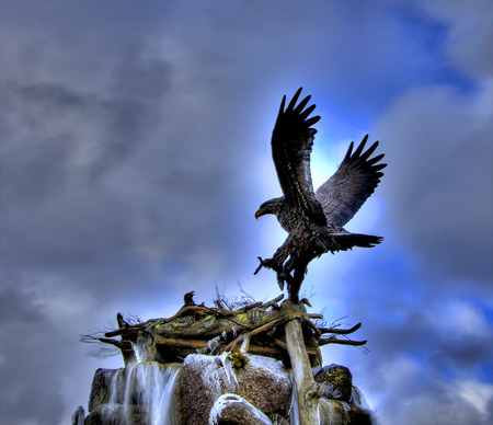 Mom brings food to the family - clouds, eagle, wings, wild, sky