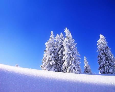 Paradise Snow - nice, magnific, sky, trees, spetacular, photography, sunset, wonderful, superb, white, amazing, fabulous, cool, icy, frozen, ice, landscape, winter, snow, blue, beautiful, seasons, awesome