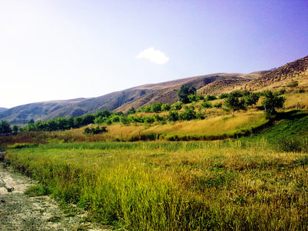 Lar - nature, iran, lar