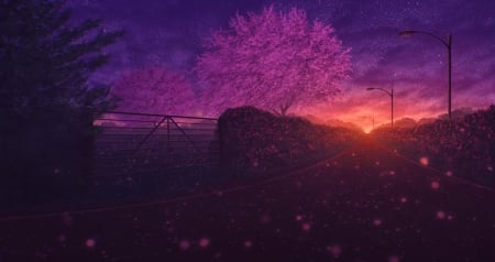 Sunset - sunset, sakura, miloe, spring, art, pink, tree, blue, orange, fantasy