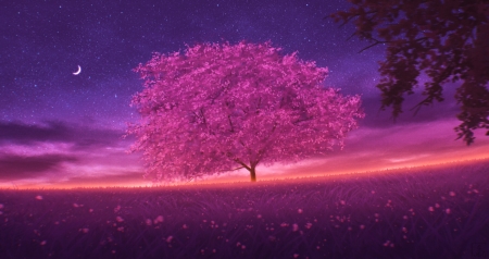 Sunset - fantasy, sunset, sakura, spring, miloe, pink, art, tree