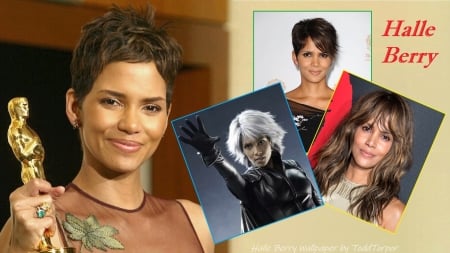 Halle Berry Wallpaper - celebrities, actrice, halle berry, people, wallpaper