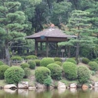 Hiroshima Shukkeien Forest Garden