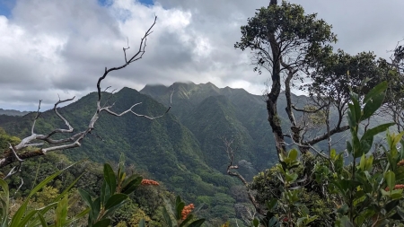 Manoa Cliff Trail, Oahu, Hawaii - clouds, island, rocks, sky, trees, usa