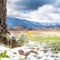 Late Winter in the Smokies, East Tennessee