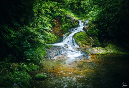 Waterfall - forest, nature, stream, waterfall
