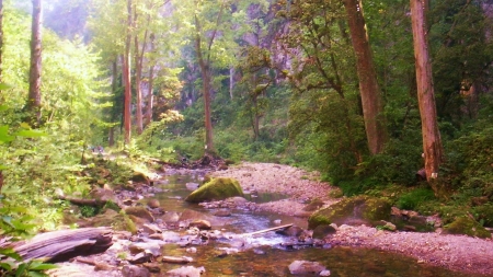 Apulco, Zacatecas, Mexico - trees, forest, stones, creek, rocks