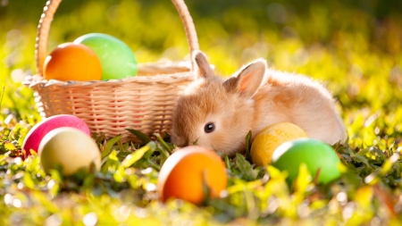 Easter Greetings - artwork, basket, bunny, digital, eggs