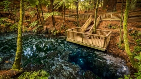 Hamurana Springs Nature Reserve, Rotorua, New Zealand - stones, path, trees, stairs, water, stream, fence