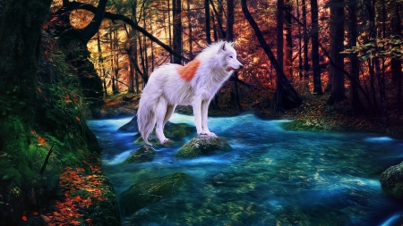 Wolf in Autumn Forest - colors, fall, predator, trees, white