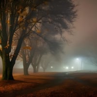 Misty autumn night with eerie street lights