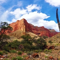 The Colonnade, Grand Canyon, Arizona