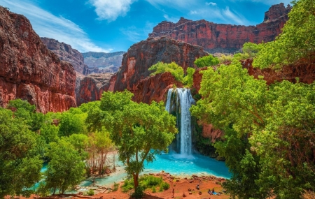Green trees at Havasu Falls - fak, havasu vizeses zuhatag, sziklak, zold termeszet