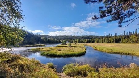 Oulanka national park, Finnish Lapland - clouds, island, sky, trees, water