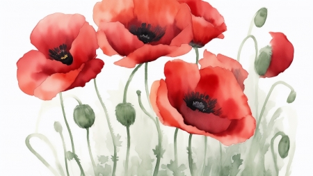 Poppies - art, flower, mac, maci, poppy, red