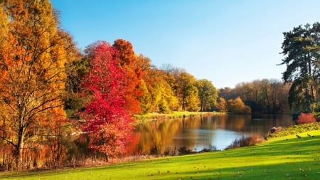 Autumn Park - fall, colors, trees, leaves, water