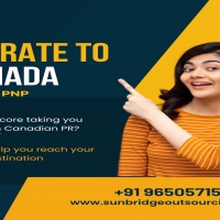 Canada Work Visa Consultants in Delhi | Guaranteed Success with Sunbridge