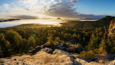 Elbe Sandstone Mountains, Saxony, Germany - clouds, trees, fog, sunrise, forest, rocks, sky, sun