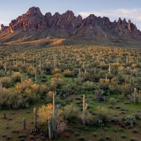 Ragged Top mountain and saguaro cacti, Ironwood Forest National Monument, Arizona