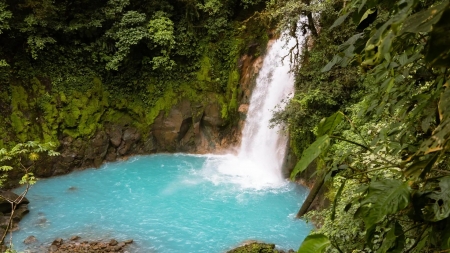 Rio Celeste Waterfall, Costa Rica - plants, pond, rocks, water