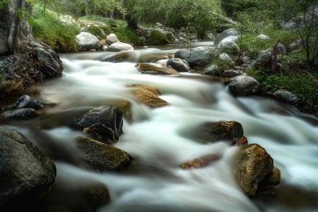 Stream in Forest - time lapse, stream, water, forest