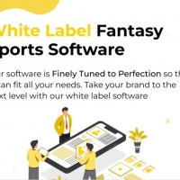 White label fantasy Sports Software