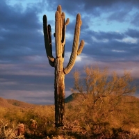 Cloudy sunset in Arizona