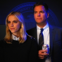 Emily Wickersham NCIS Ellie and Tony