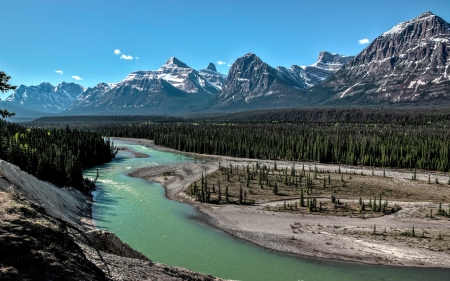 Somewhere in the Alberta Rockies - canada, landscape, river, rocks, trees