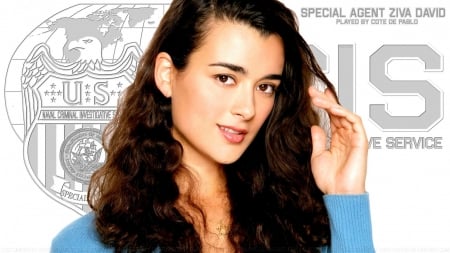 Beautiful Cote De Pablo IX