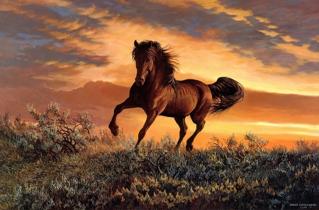 Horse in sunset