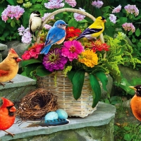 Birds On The Porch Steps