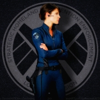 Cobie Smulders Agent Maria Hill II