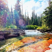 Sunkiss At The Glacier National Park, Montana