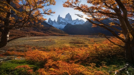 Cerro Fitz Roy framed by peak fall foliage