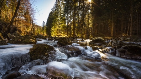 River Vydra, Sumava NP, Czech Republic - winter, ice, trees, landscape, stream, forest, stones, rocks