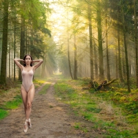 Ballerina on a Forest Road